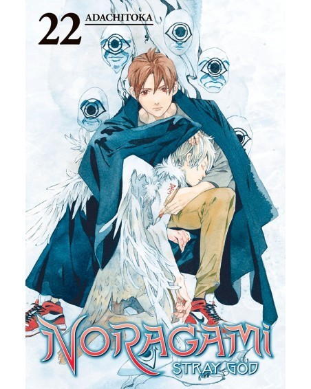 Noragami Stray God Vol 22 Ed em Inglês