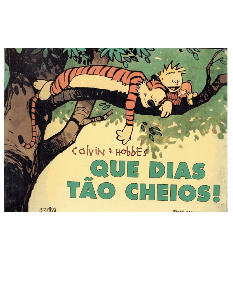 Calvin & Hobbes - Que Dias Tão Cheios (Bill Waterson)