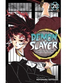 Demon Slayer: Kimetsu no Yaiba Vol.20