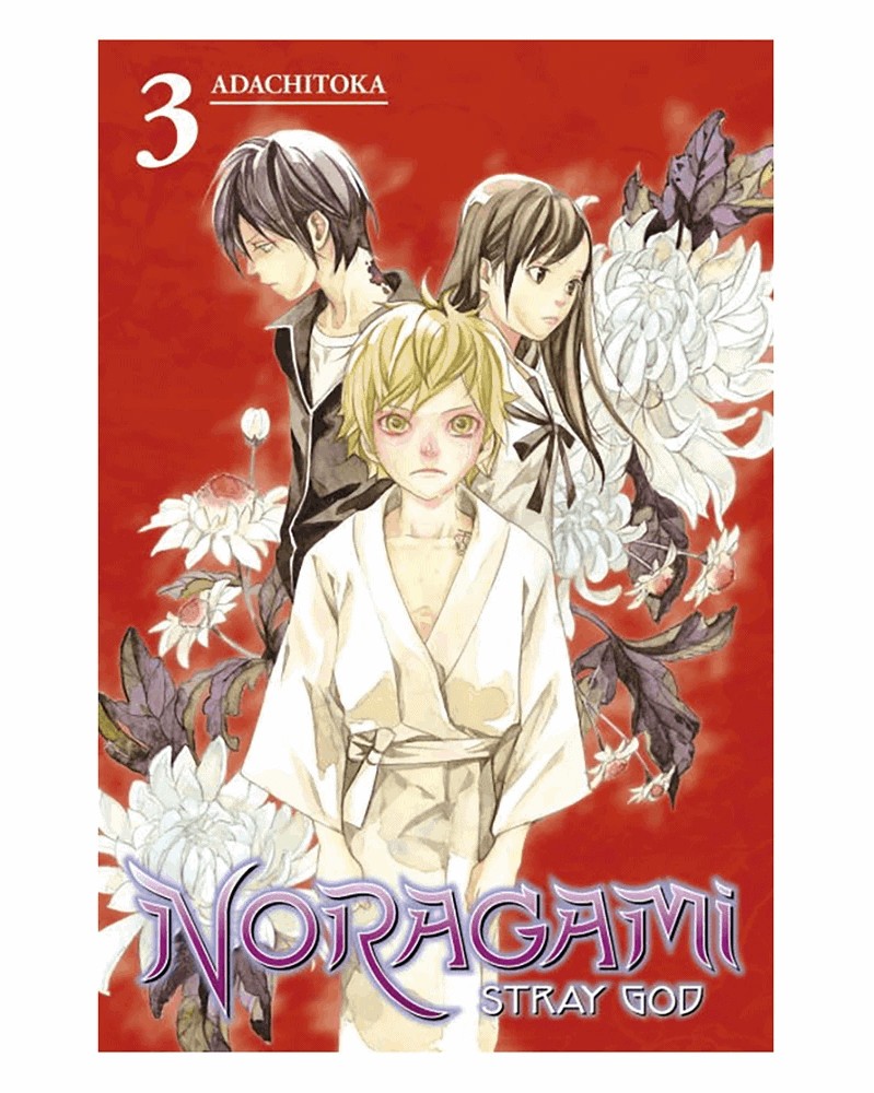 Noragami - Stray God Vol.3 (Ed. em Inglês)
