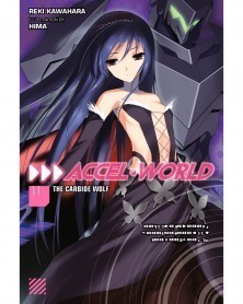 Accel World Vol.11 (Light Novel)