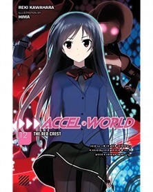 Accel World Vol.12 (Light Novel)