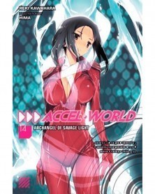 Accel World Vol.14 (Light Novel)