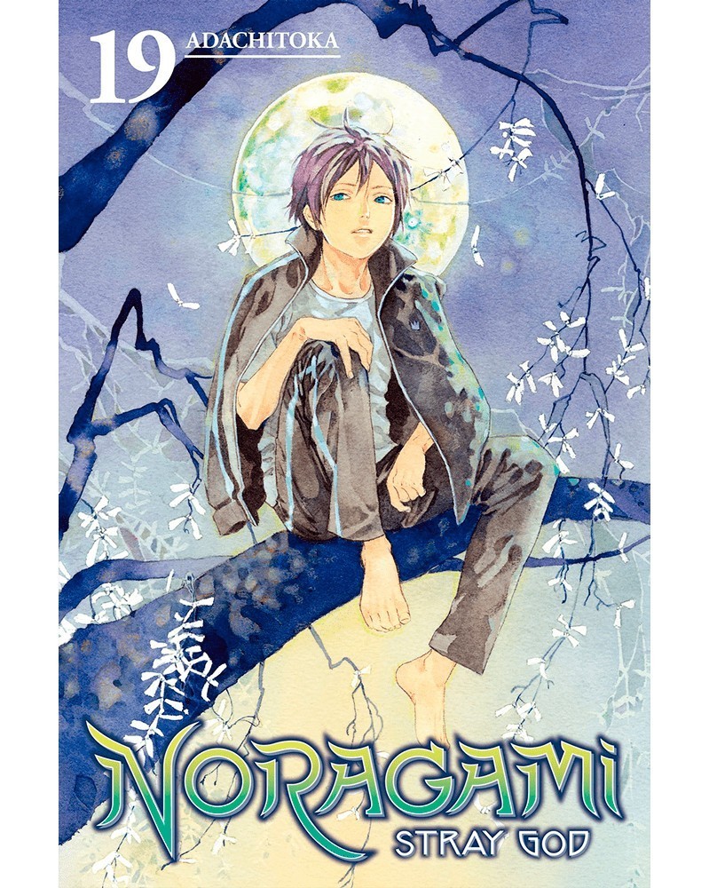 Noragami - Stray God Vol.19 (Ed. em Inglês)