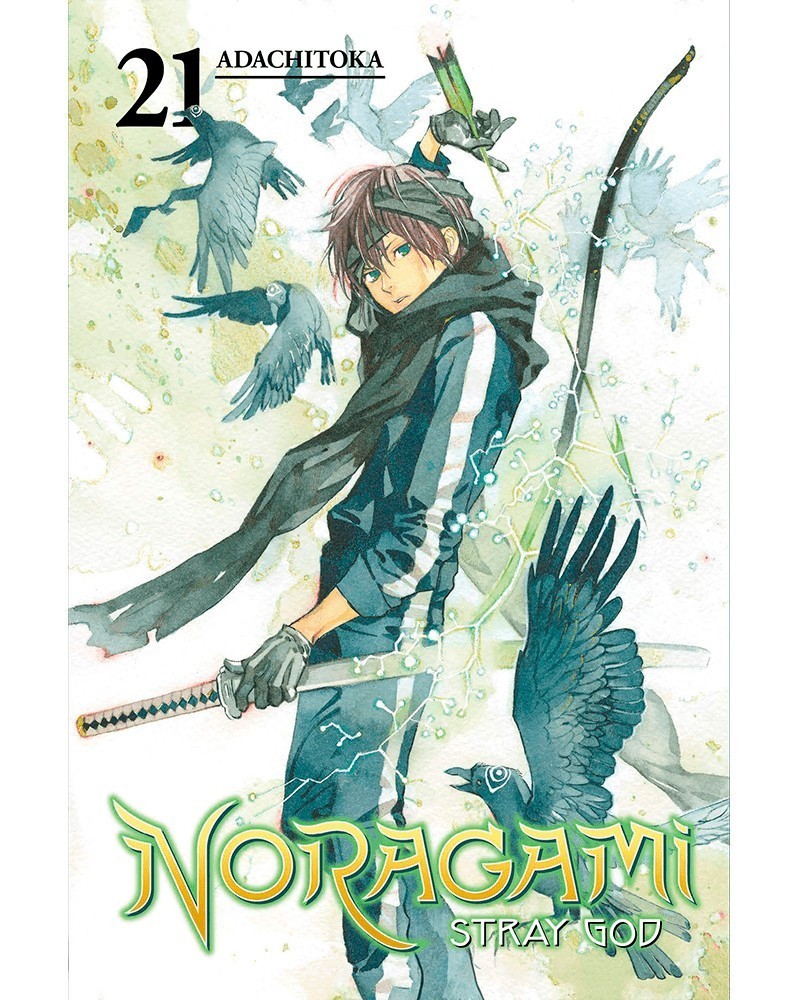 Noragami - Stray God Vol.21 (Ed. em Inglês)