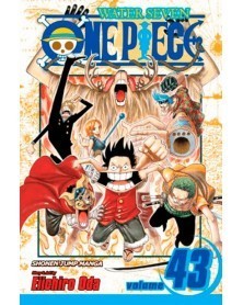 One Piece vol.43 (Ed. em Inglês)