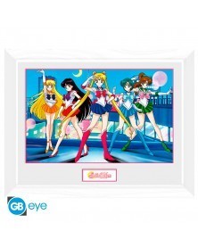 Sailor Moon - Group Framed Print