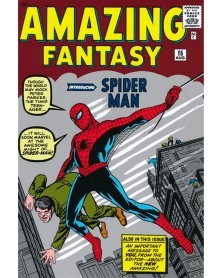 The Amazing Spider-Man by Lee and Ditko Omnibus HC vol.01
