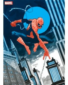 Spider-Man by Jeph Loeb/Tim Sale Gallery Edition HC (Variant Cover)