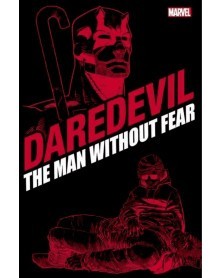 Daredevil: Man Without Fear, Panini Editions TP (Miller/Romita Jr.)