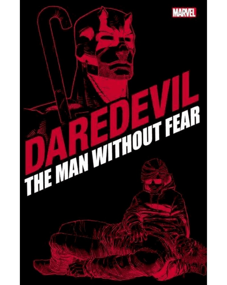 Daredevil: Man Without Fear, Panini Editions TP (Miller/Romita Jr.)