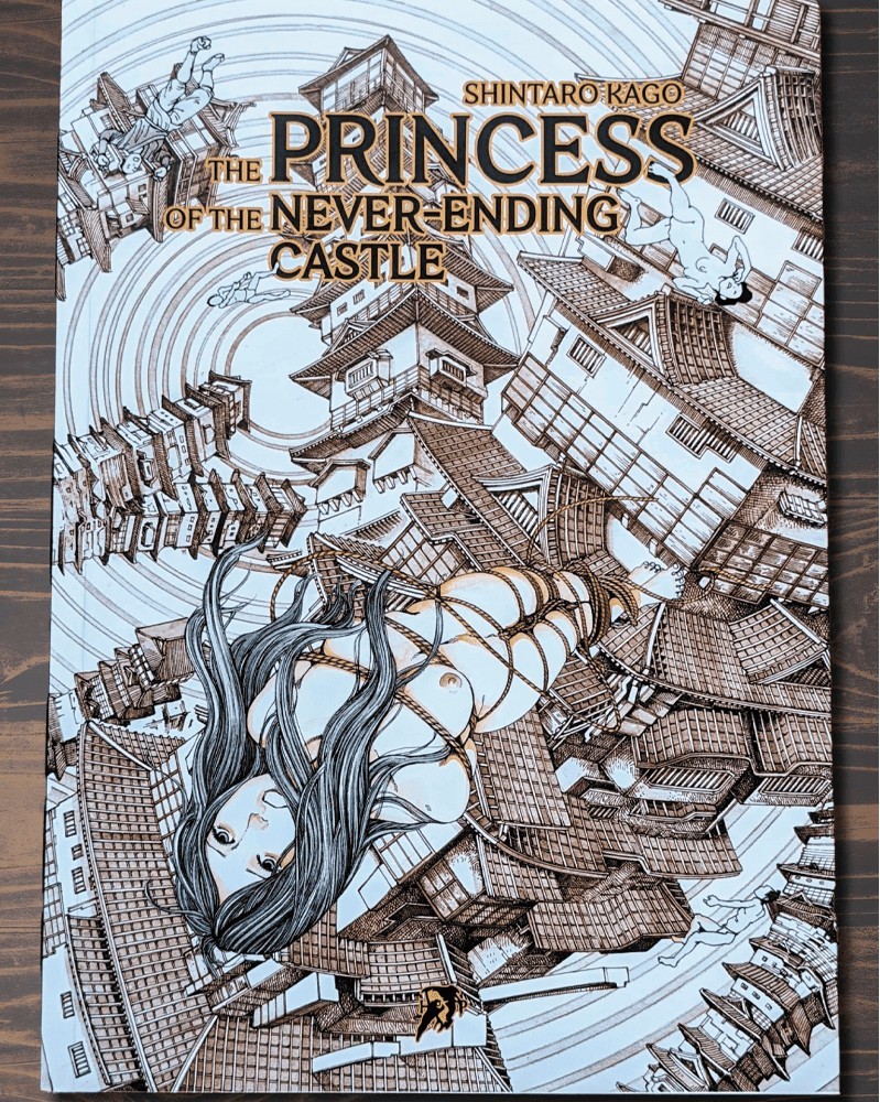 The Princess of Never-Ending Castle, by Shintaro Kago (Hollow Press Publishing)