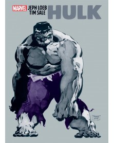 Hulk by Jeph Loeb/Tim Sale Gallery Edition HC