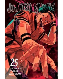 Jujutsu Kaisen Vol.25 (Viz Media)
