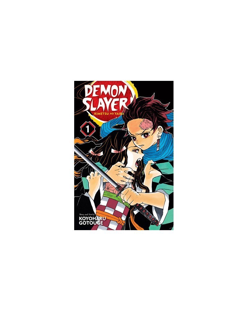 Demon Slayer: Kimetsu no Yaiba Vol.01